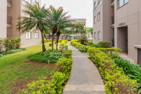 Image 17 - 332031