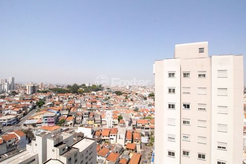 Image 19 - 895554