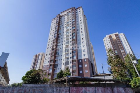 Image 12 - 916853