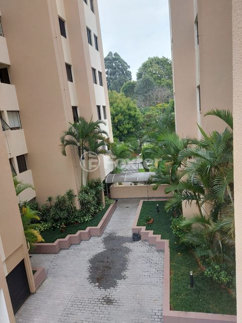 Image 15 - 326919