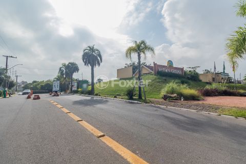 Image 10 - 216677
