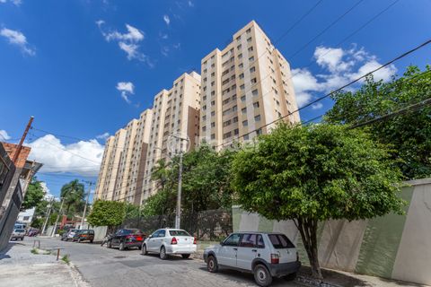 Image 7 - 915086
