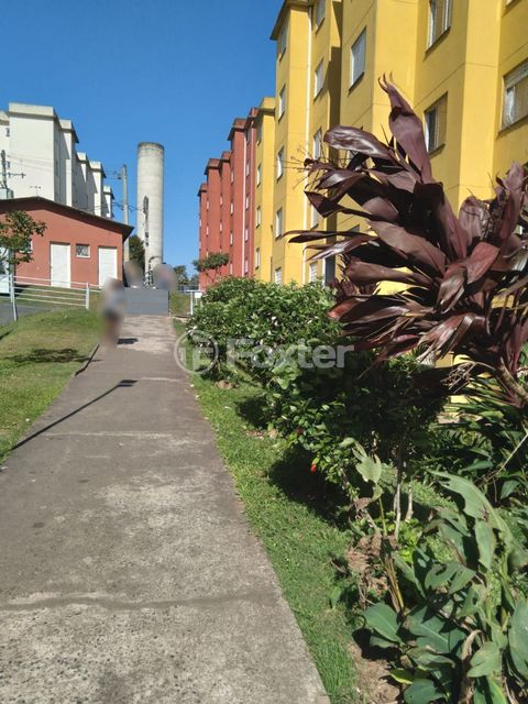Image 10 - 884369