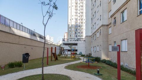 Image 17 - 332788