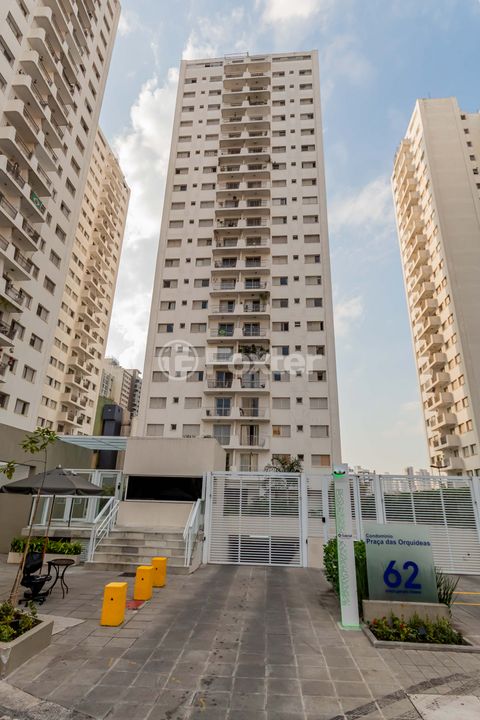 Image 11 - 334474