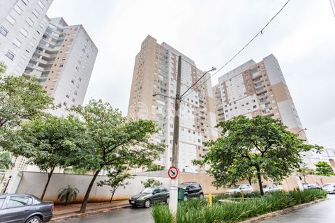 Image 11 - 319493