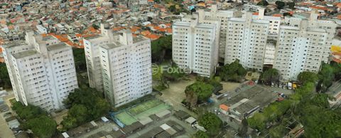 Image 17 - 851083