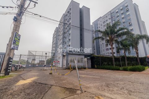 Image 16 - 295472