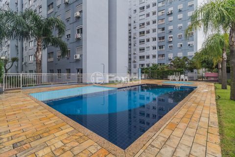 Image 17 - 295472