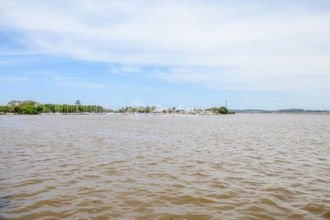 Image 8 - 290