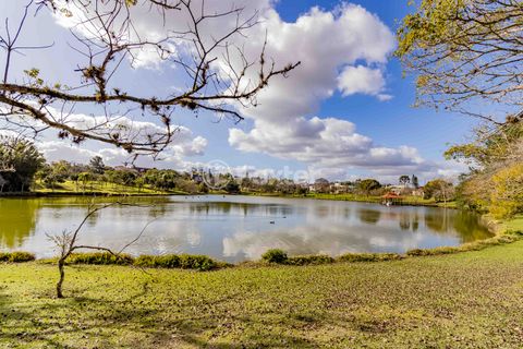 Image 17 - 272286
