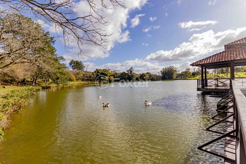 Image 14 - 272286
