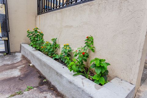 Image 13 - 881497