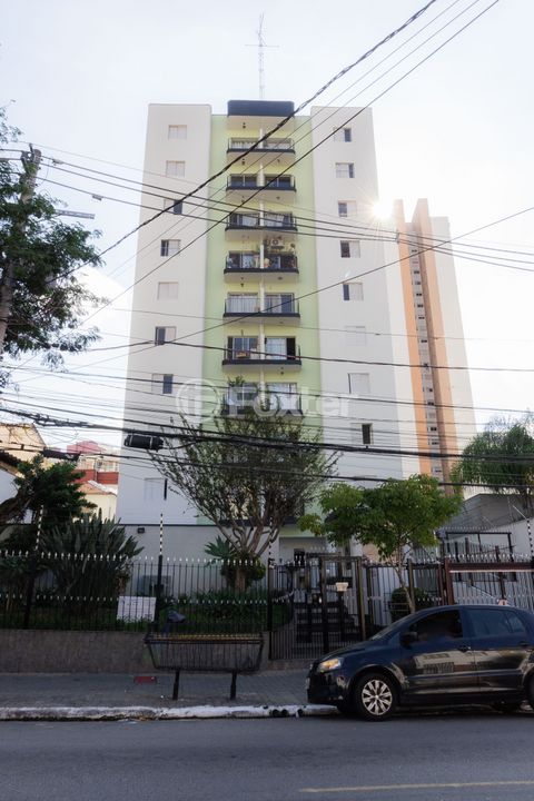 Image 19 - 550528