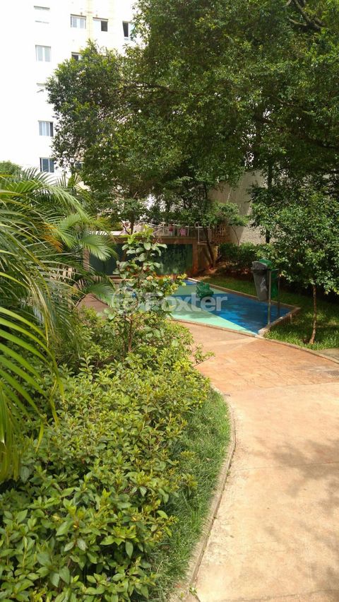 Image 17 - 892243