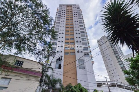Image 9 - 806806