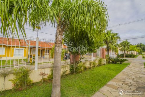 Image 17 - 887991