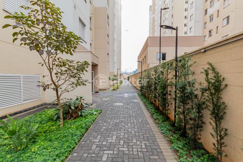 Image 15 - 918455