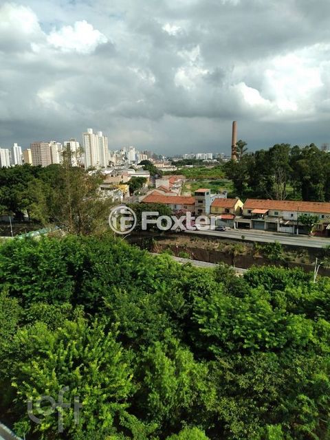 Image 16 - 869181