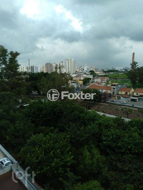 Image 10 - 869181