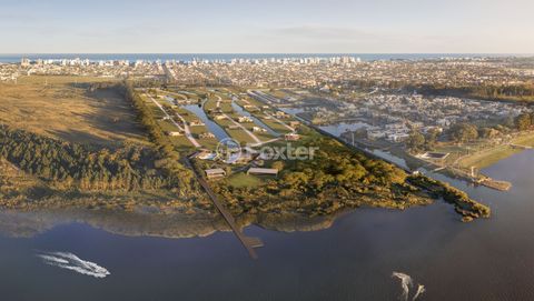 Image 19 - 851217