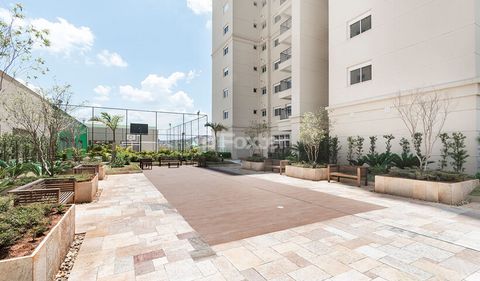 Image 6 - 53626