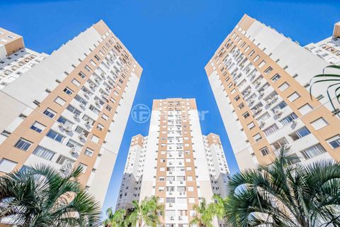 Image 19 - 252607