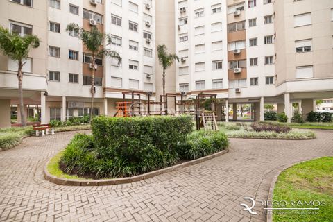 Image 12 - 195331
