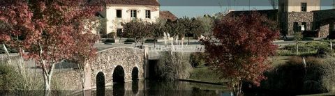 Image 16 - 874263