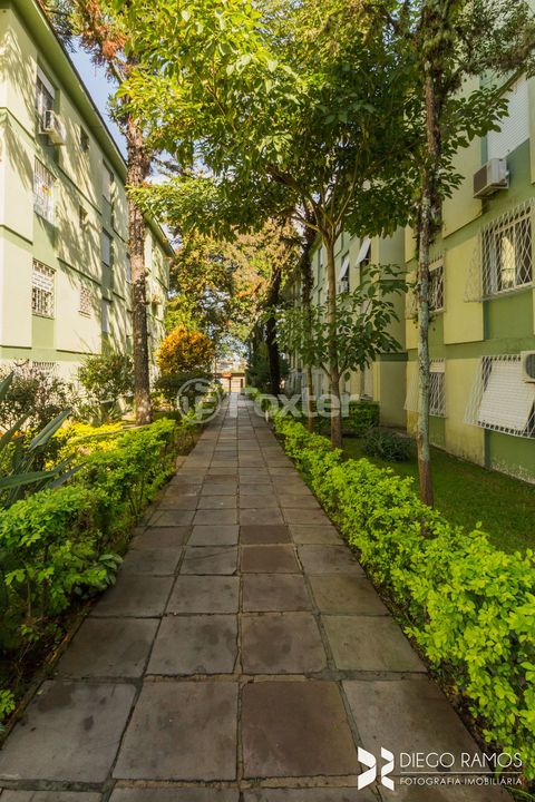 Image 16 - 886667