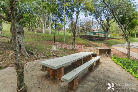 Image 19 - 119966