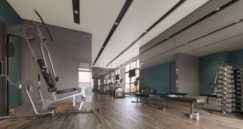 Image 3 - 905924