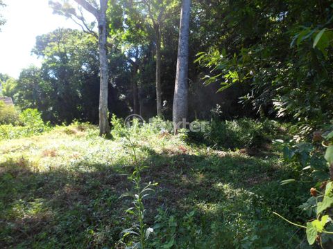 Image 4 - 102708