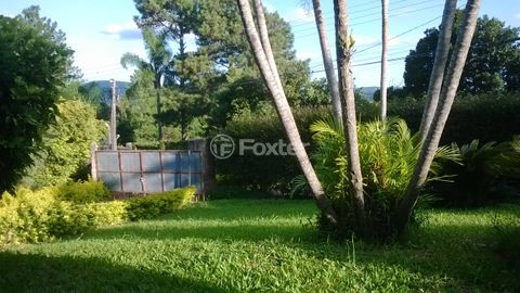 Image 8 - 105065