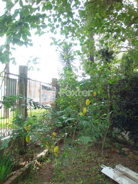 Image 7 - 106530