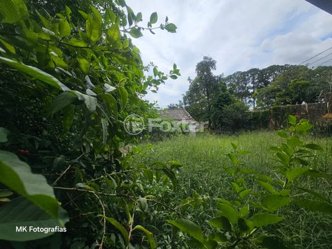 Image 5 - 114404