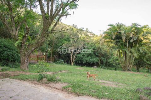 Image 11 - 119991