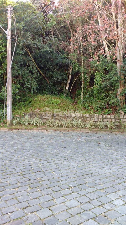 Image 1 - 139956