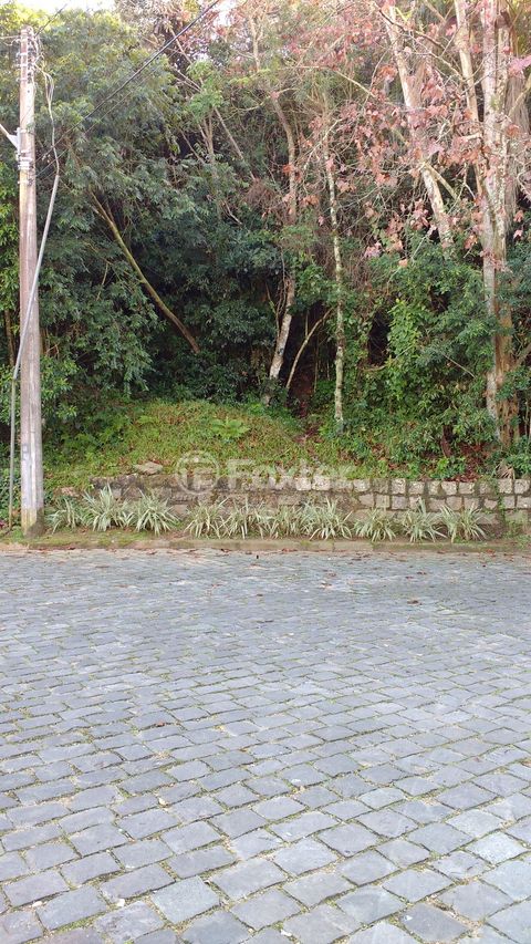Image 0 - 139956