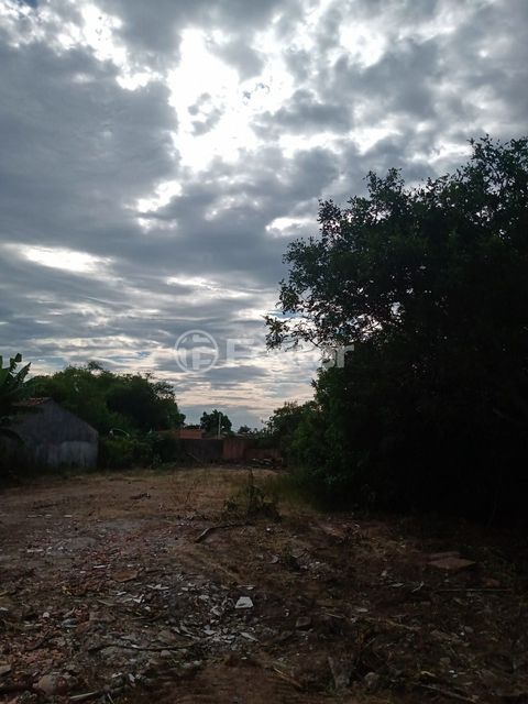 Image 5 - 145336