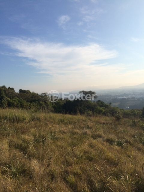 Image 6 - 153901