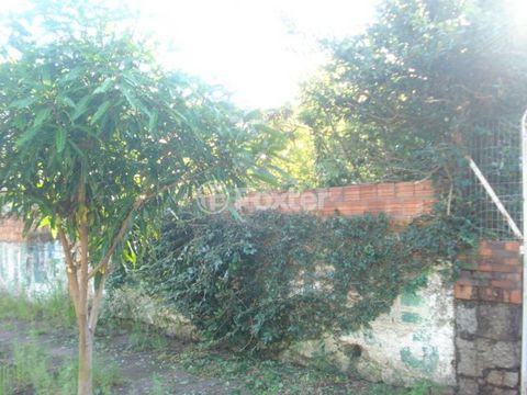 Image 4 - 167486