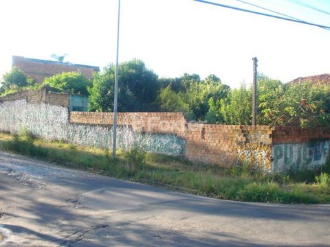 Image 3 - 167486