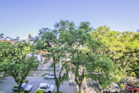 Image 19 - 169253