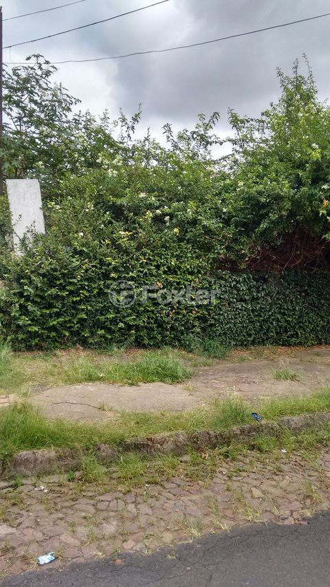 Image 2 - 169762