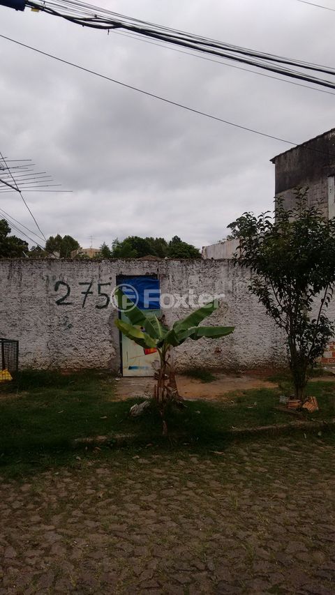 Image 4 - 169765
