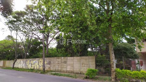 Image 5 - 177146