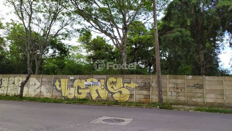 Image 7 - 177146