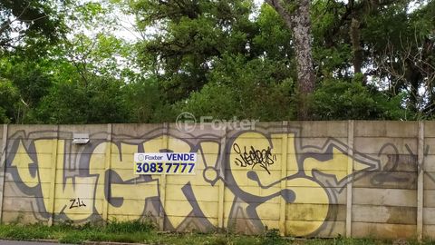 Image 8 - 177146