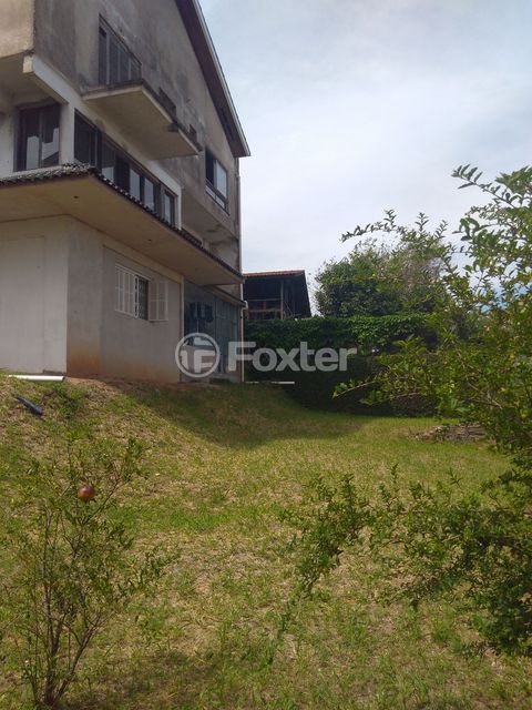 Image 9 - 184819